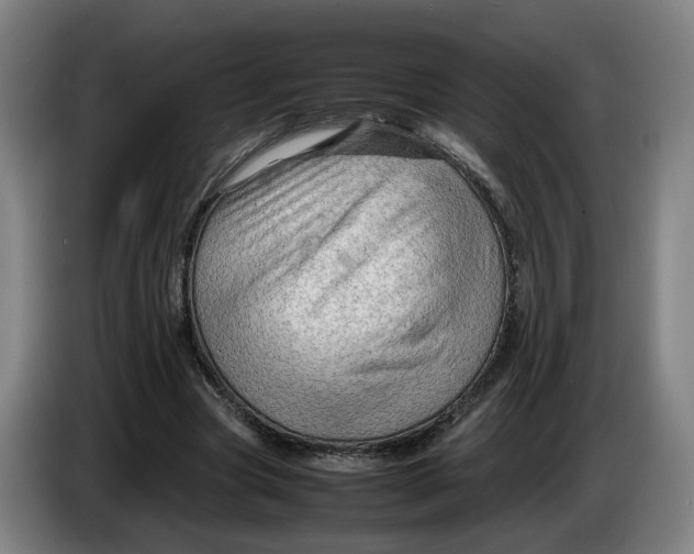 X0000086230537200704191802