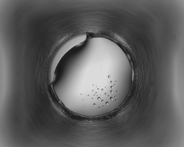 X0000086230538200704191802