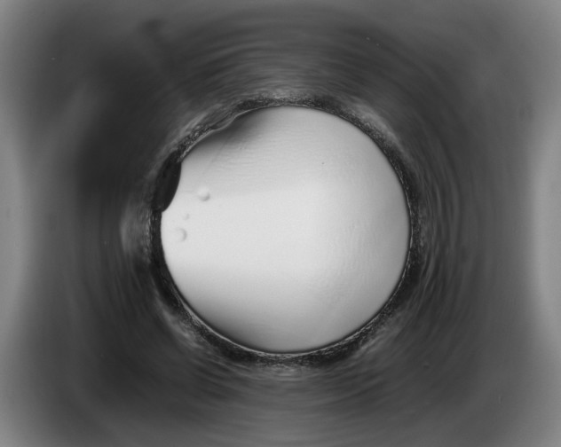 X0000086230542200704191802