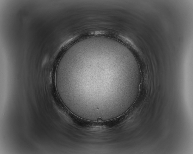 X0000086230543200704191802