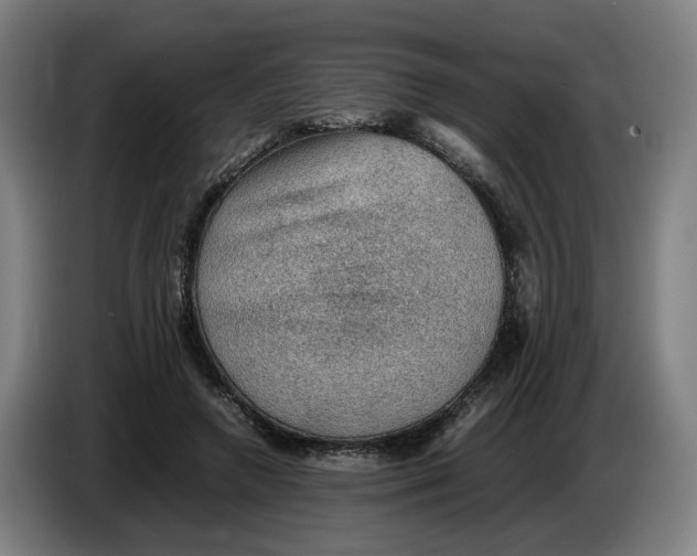 X0000086230546200704191802