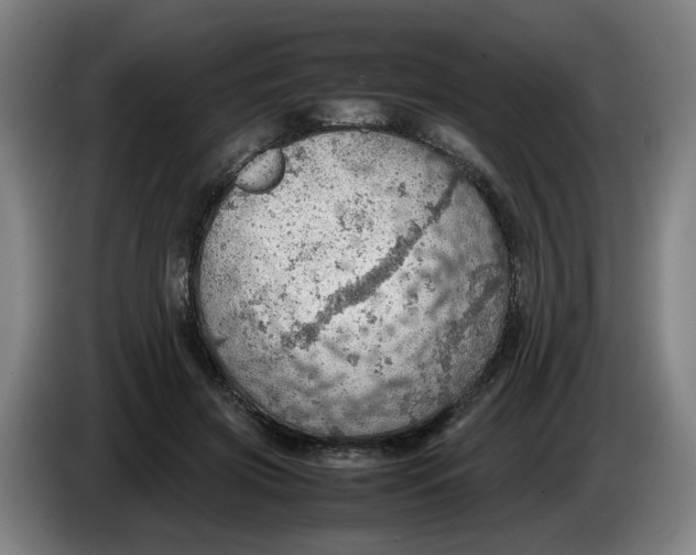 X0000086230549200704191802