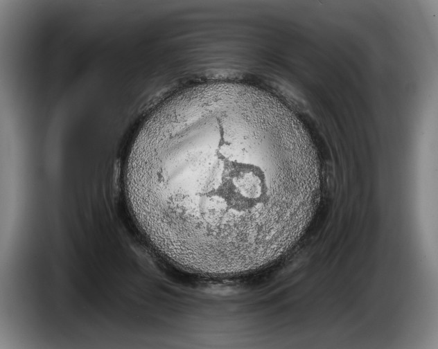 X0000086230550200704191802