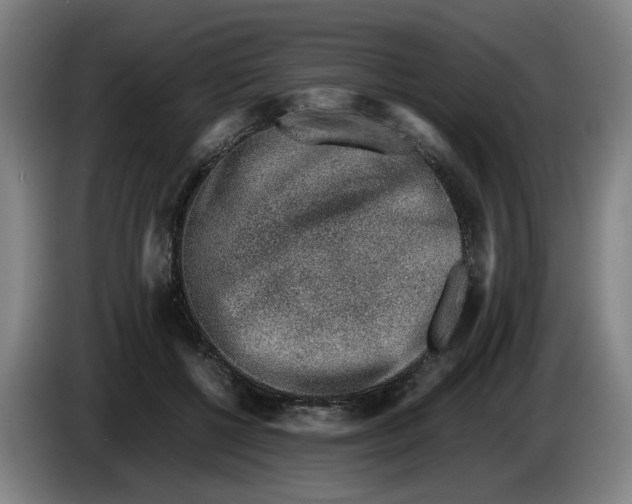 X0000086230552200704191802