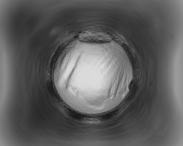 X0000086230553200704191802