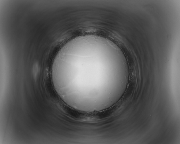 X0000086230555200704191802