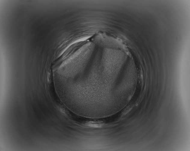 X0000086230556200704191802