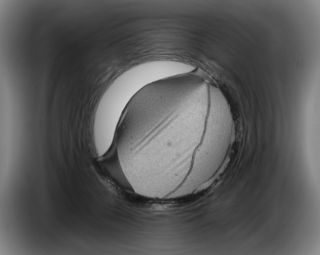 X0000086230560200704191802