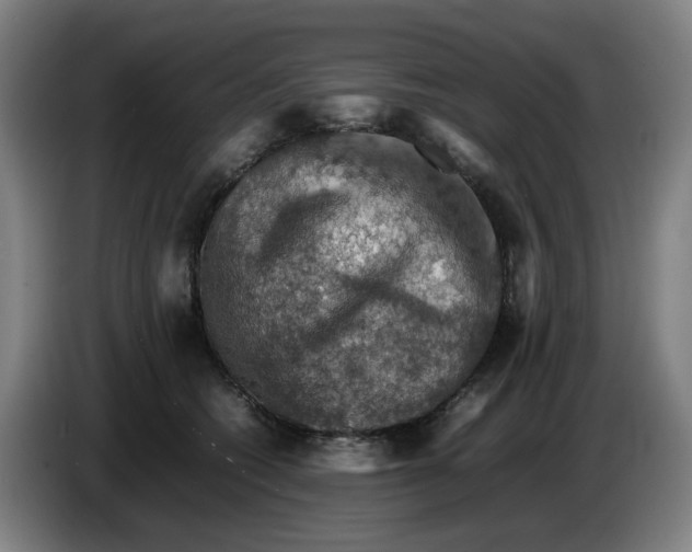 X0000086230562200704191802