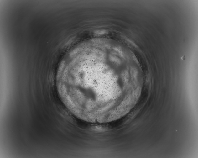 X0000086230565200704191802