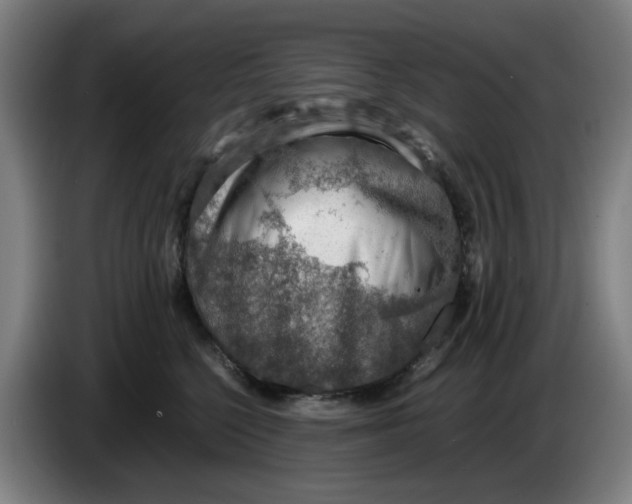 X0000086230568200704191802