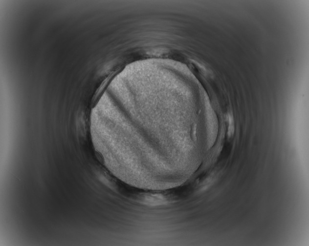 X0000086230572200704191802