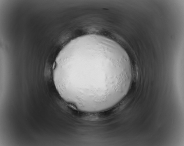 X0000086230573200704191802