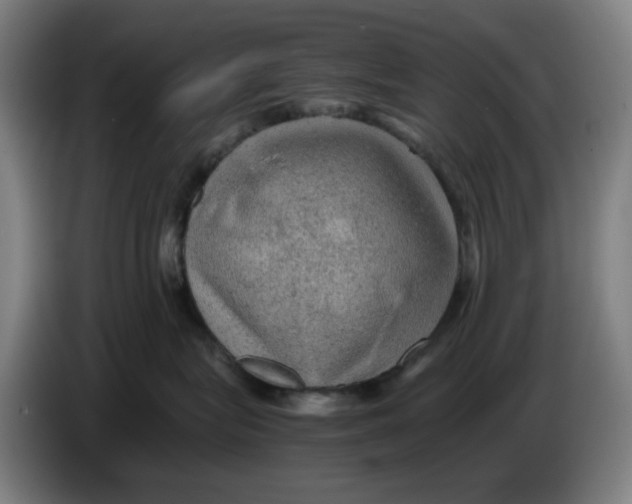 X0000086230575200704191802