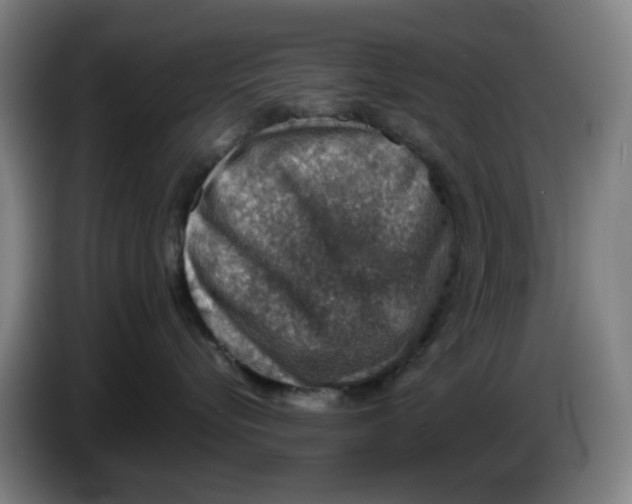 X0000086230576200704191802