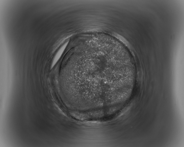 X0000086230577200704191801