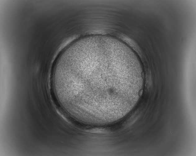 X0000086230578200704191801