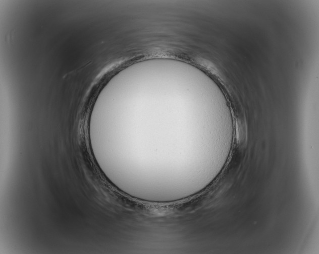 X0000086230579200704191801