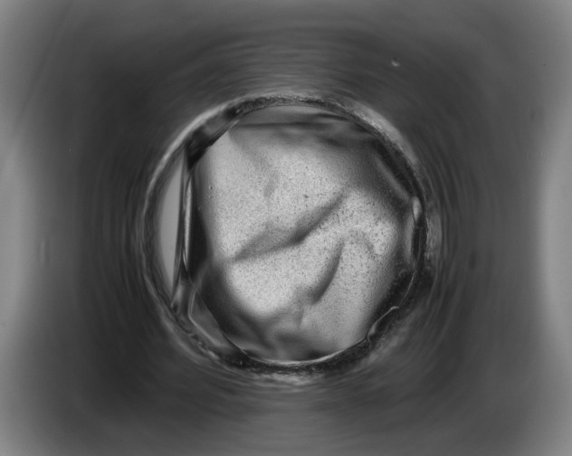 X0000086230580200704191801