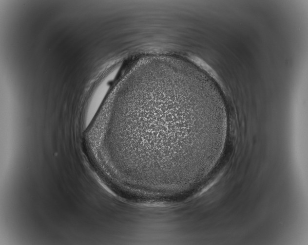 X0000086230581200704191801