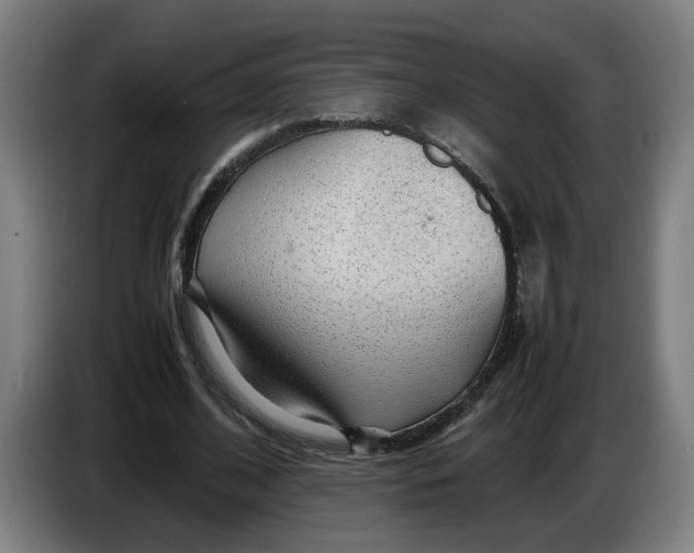 X0000086230584200704191801