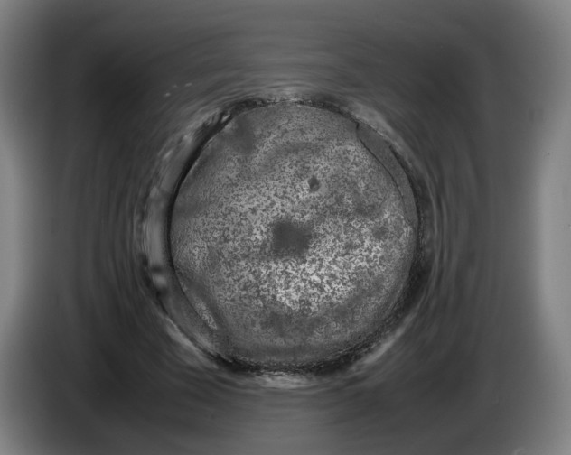 X0000086230585200704191801