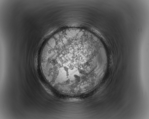 X0000086230586200704191801