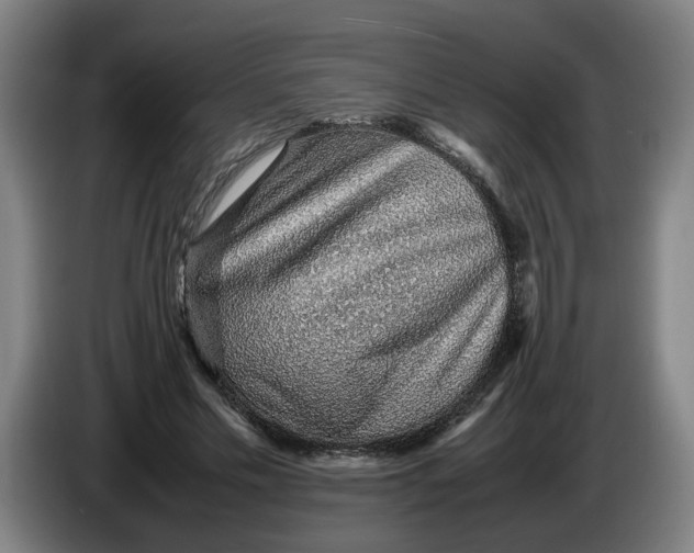 X0000086230589200704191801