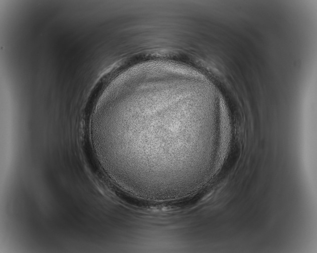 X0000086230591200704191801