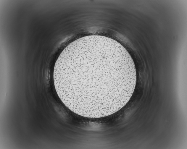 X0000086230592200704191801