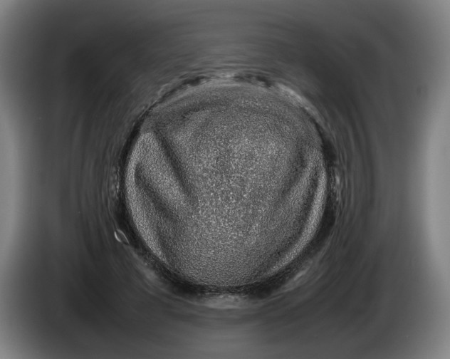 X0000086230593200704191801