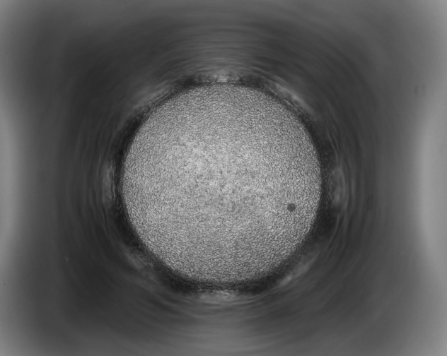 X0000086230594200704191801