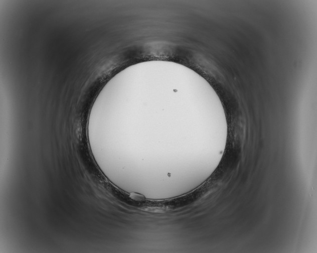 X0000086230595200704191801