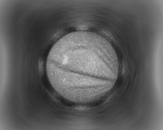 X0000086230598200704191801