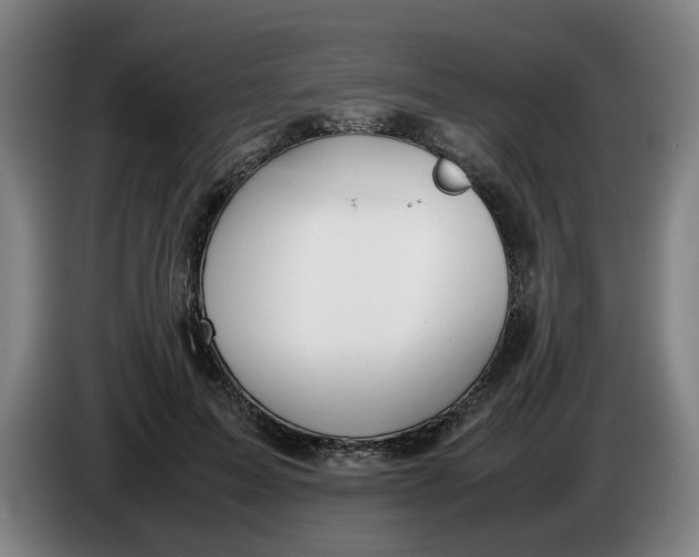 X0000086230599200704191801