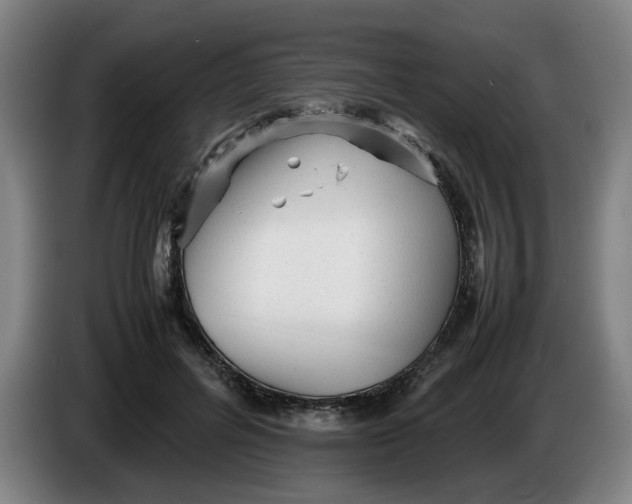 X0000086230600200704191801