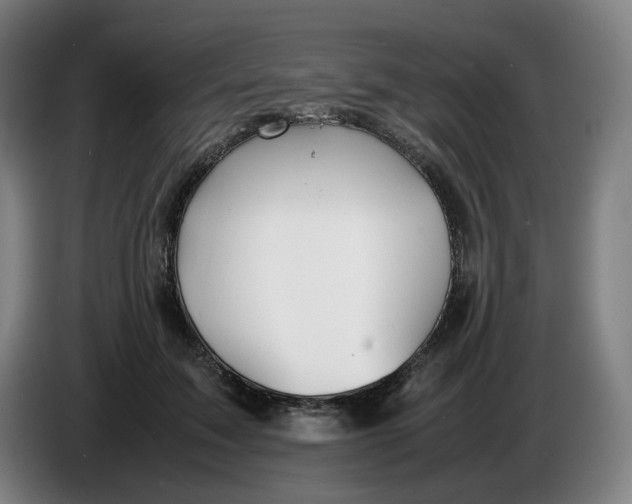 X0000086230603200704191801