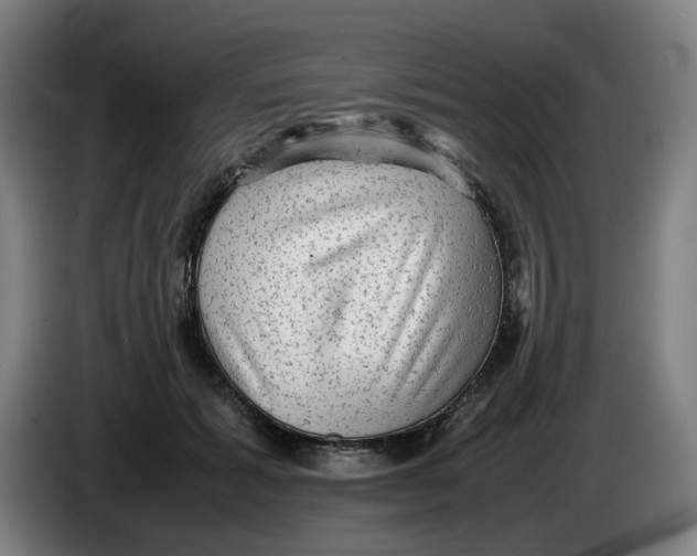 X0000086230605200704191801