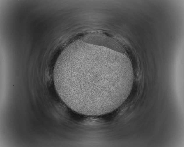 X0000086230607200704191801