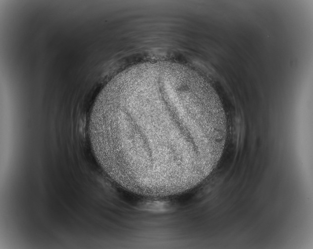 X0000086230610200704191801