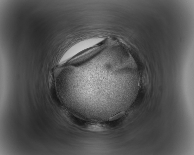 X0000086230611200704191801