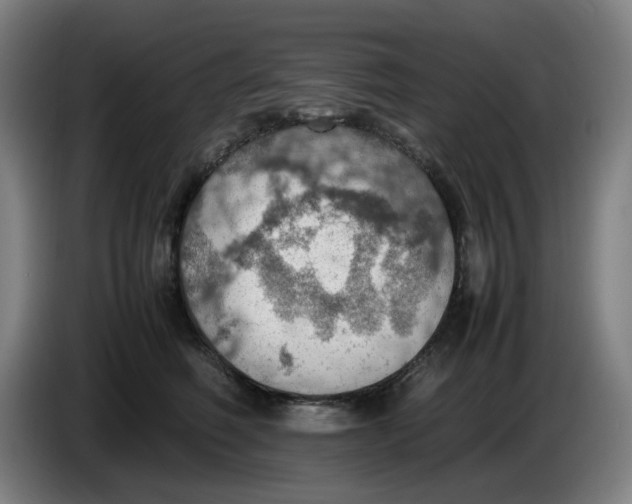 X0000086230614200704191801