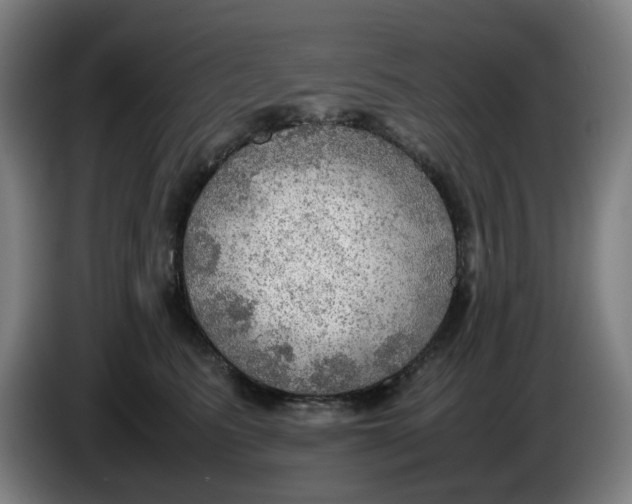 X0000086230615200704191801