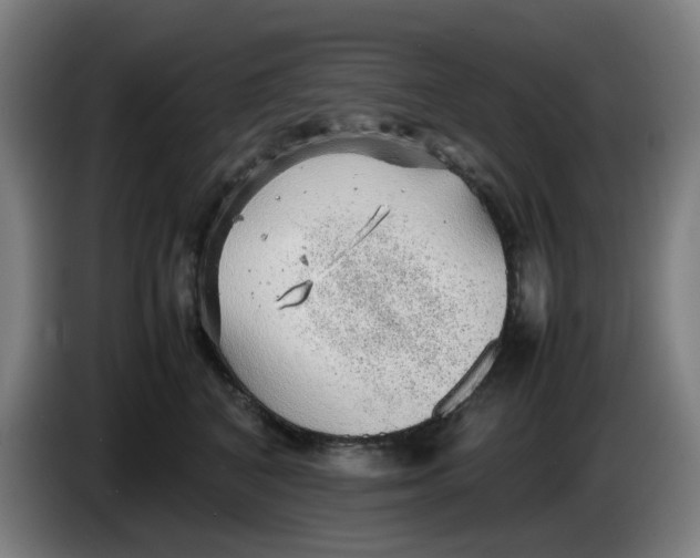 X0000086230616200704191801