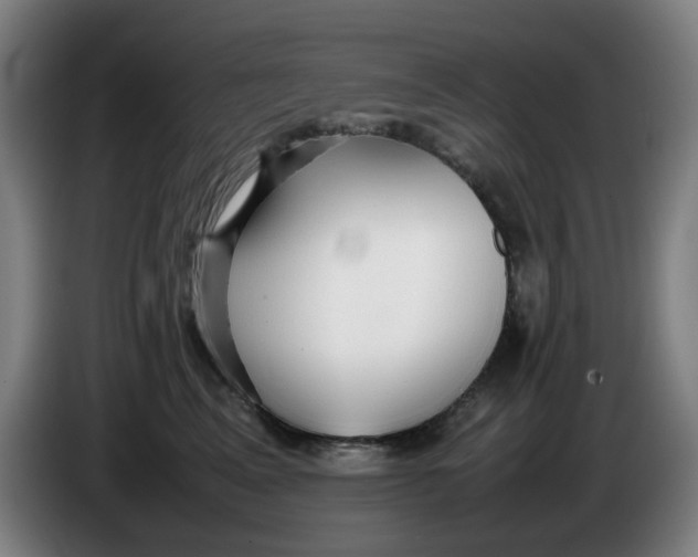 X0000086230617200704191801