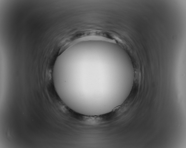 X0000086230621200704191801