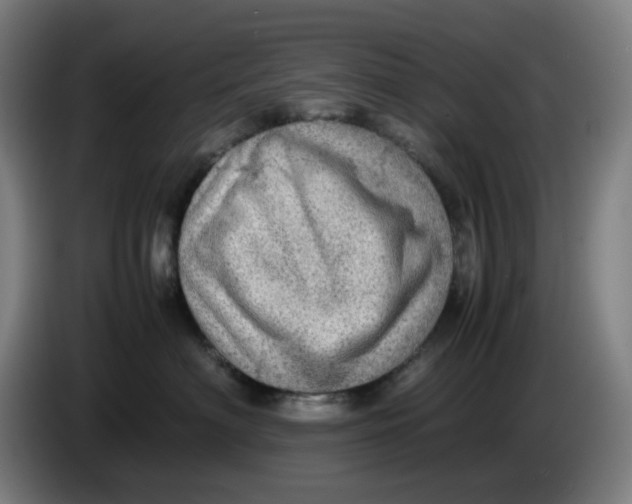 X0000086230622200704191801