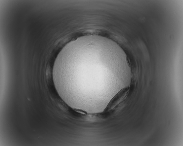 X0000086230623200704191801