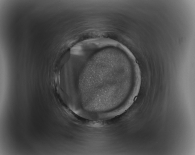 X0000086230624200704191801