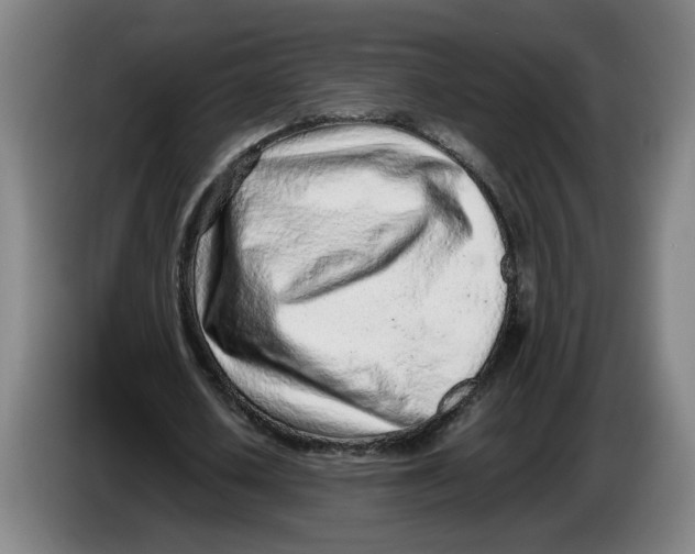 X0000086230626200704191800